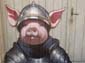 Cochon en armure