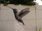 Vol de colibris