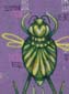 Insectes imaginaires-01
