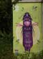 Insectes imaginaires-02