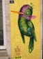 Colibri chamarré