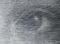 Regard juvénile