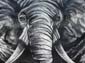 Éléphant et calligraphie