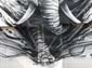 Éléphant et calligraphie