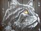 Chat calligraphique