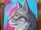 Chat calligraphique-02