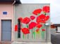 Champ de coquelicots