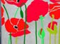 Champ de coquelicots