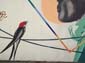 Homme et oiseaux