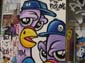 Bande de pigeons