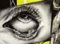 Oeil et crâne