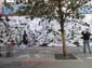 Manifestation-2