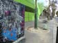 Autruches folies-9