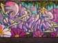 Chat graffeur-02