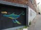 Baleine chamarrée
