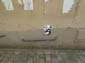 Souris chat-04