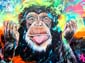 Singes bouddhistes