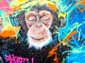 Singes bouddhistes