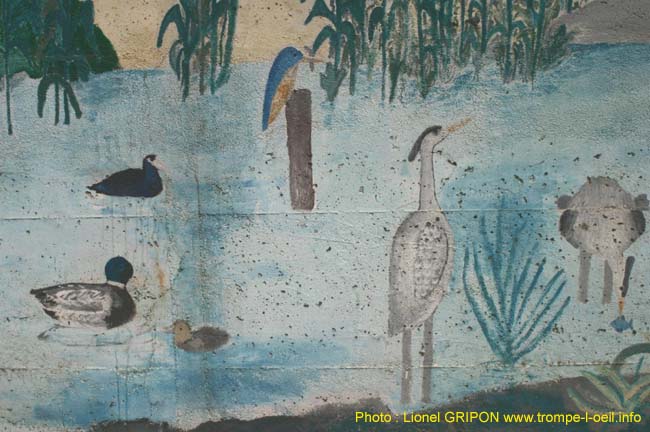 Le lavage