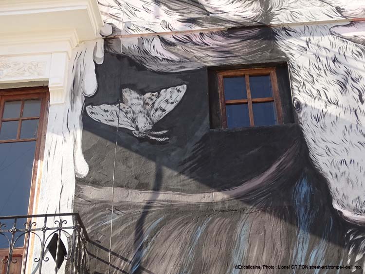 Papillons et bébête