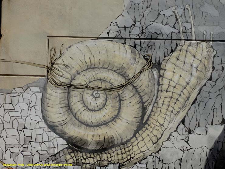 Cheval et Escargots