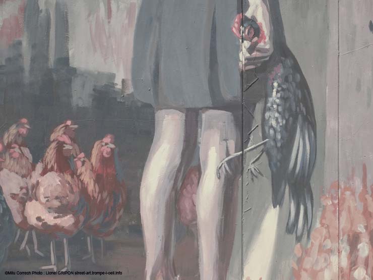 Poliniza3 –Milu Correch