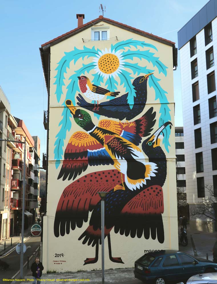 Diversité des oiseaux