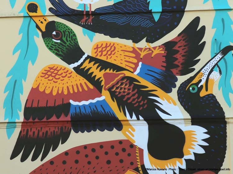 Diversité des oiseaux