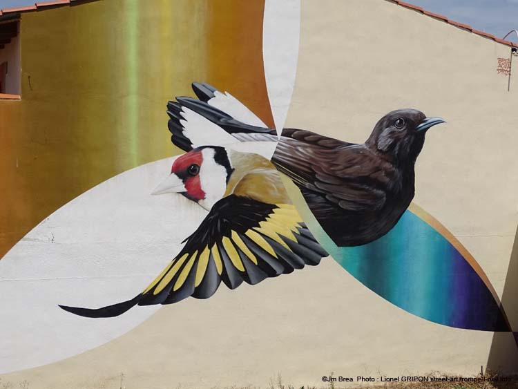 Oiseaux protégés