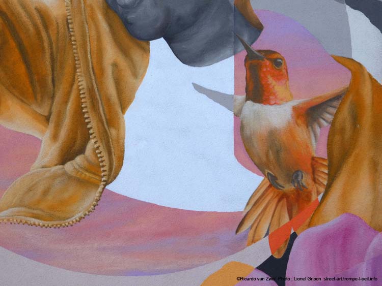 Papillon et colibris