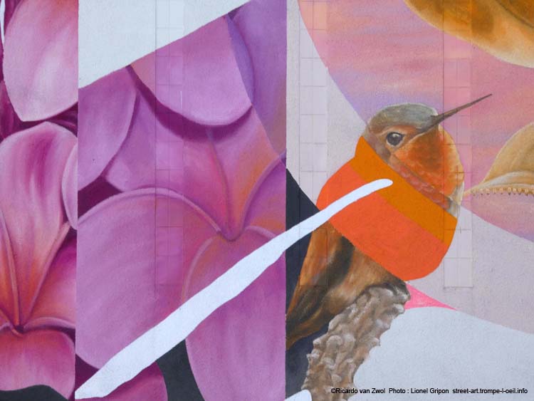 Papillon et colibris