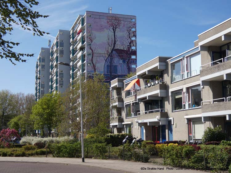 Mondriaan
