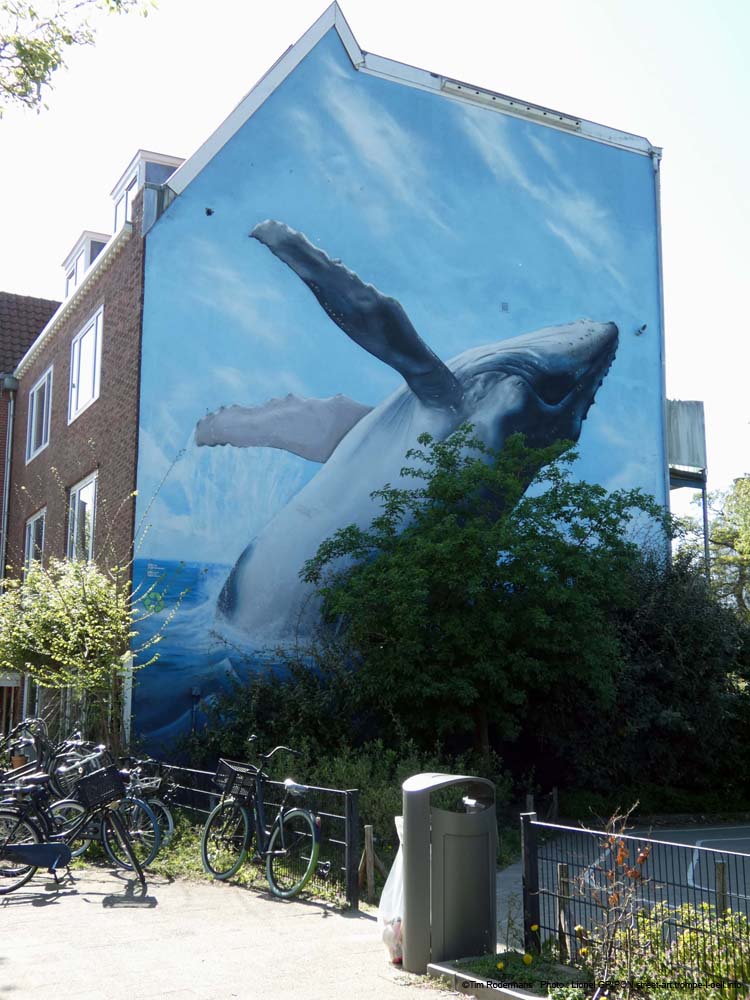 Saut de baleine
