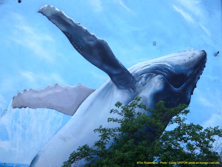 Saut de baleine