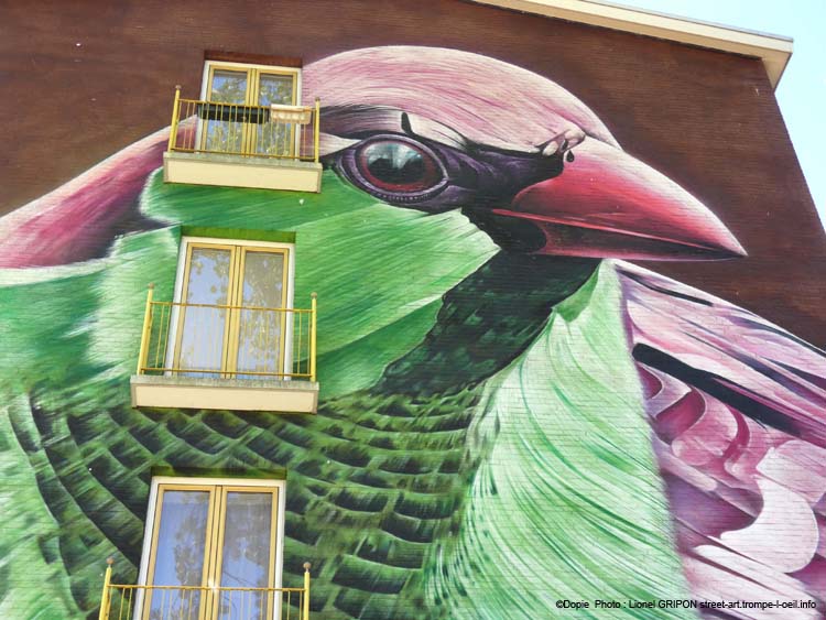 Oiseau coloré