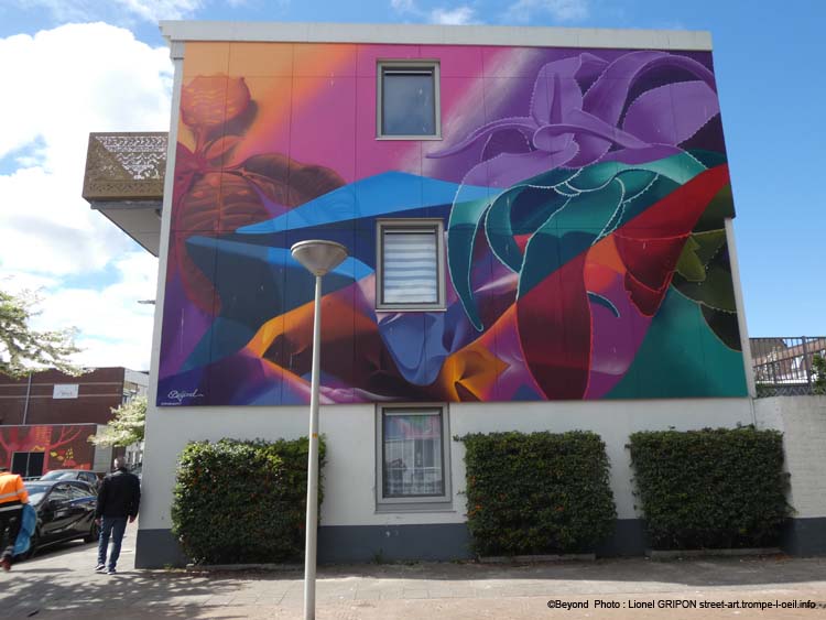Plantes et couleurs