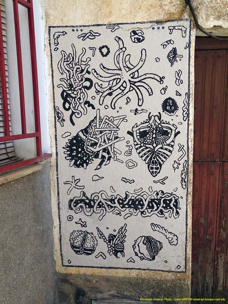 Navezuelas04