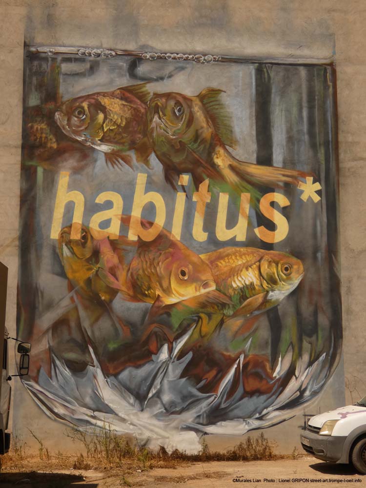 Habitus