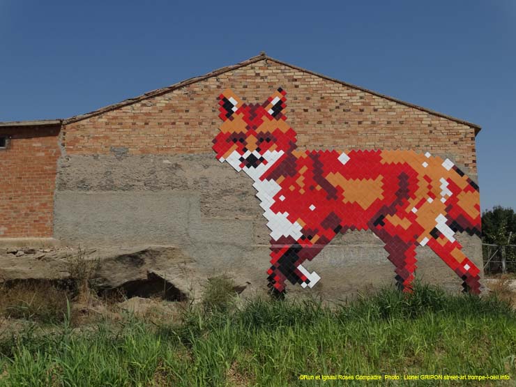 Le renard roux