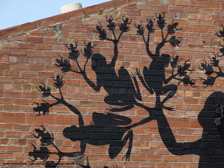 Arbre grenouilles