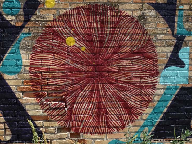 Fleur abstraite-04