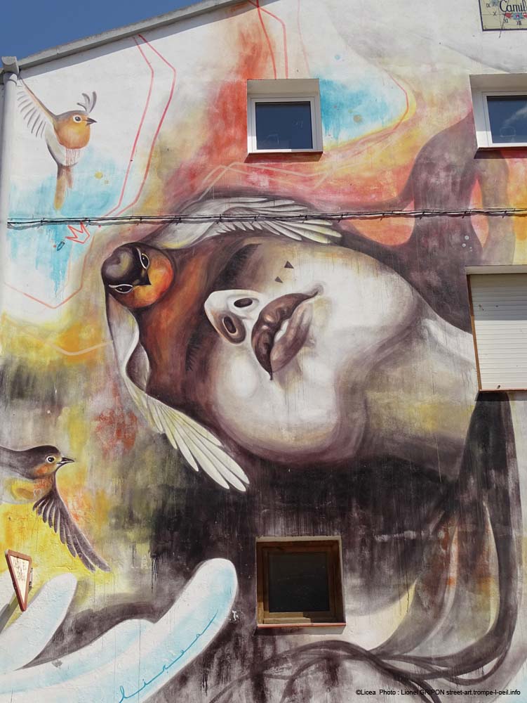 Oiseaux amour