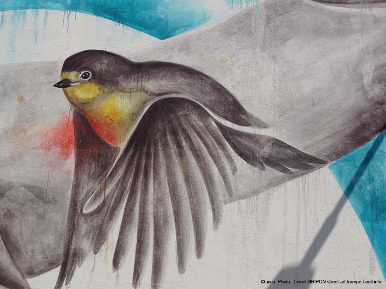 Oiseaux amour