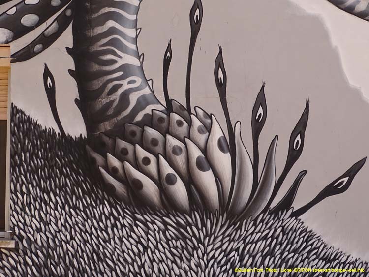 Plantes mystérieuses