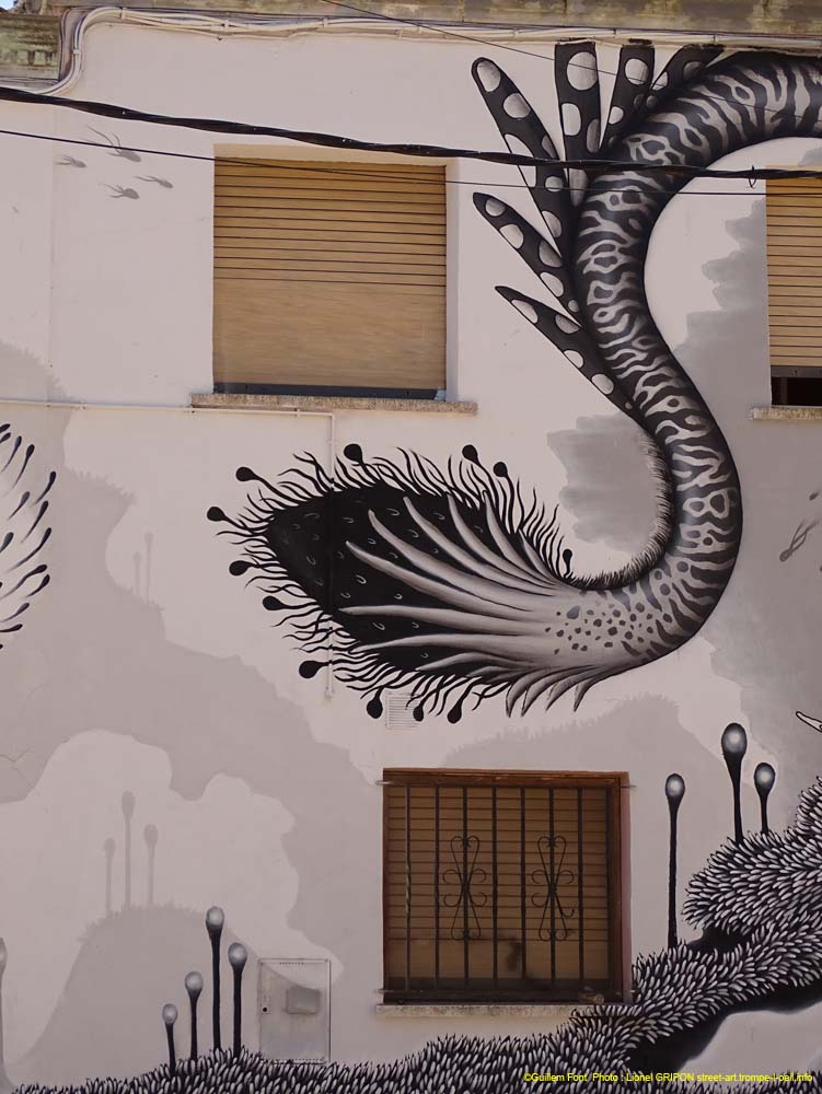 Plantes mystérieuses