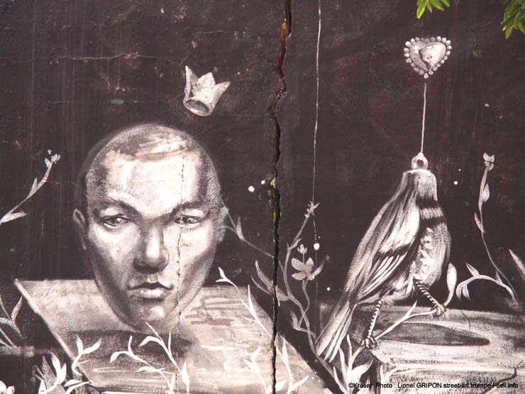 Arche oiseaux