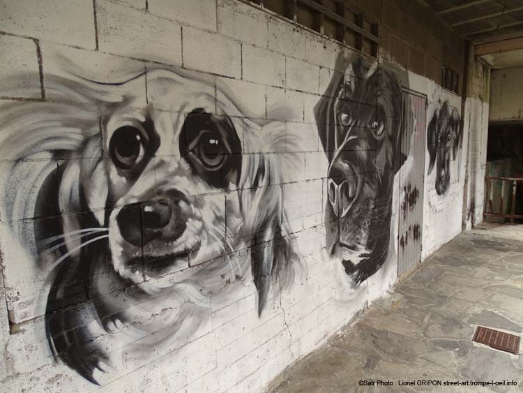 Chiens et chat