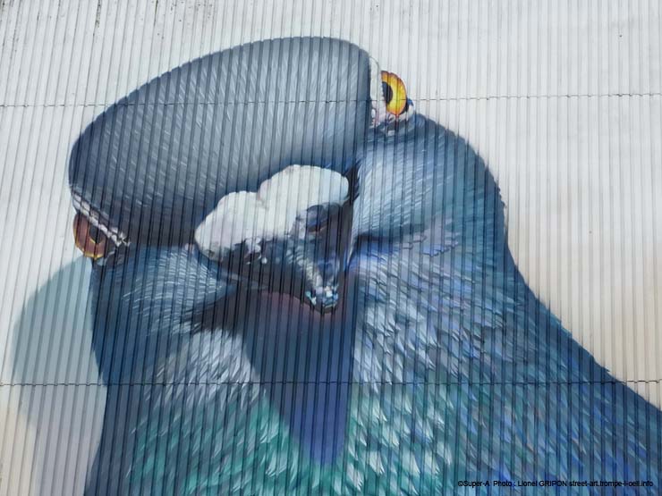 Pigeon géant