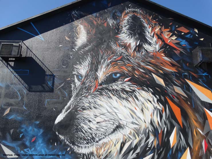 Chien loup