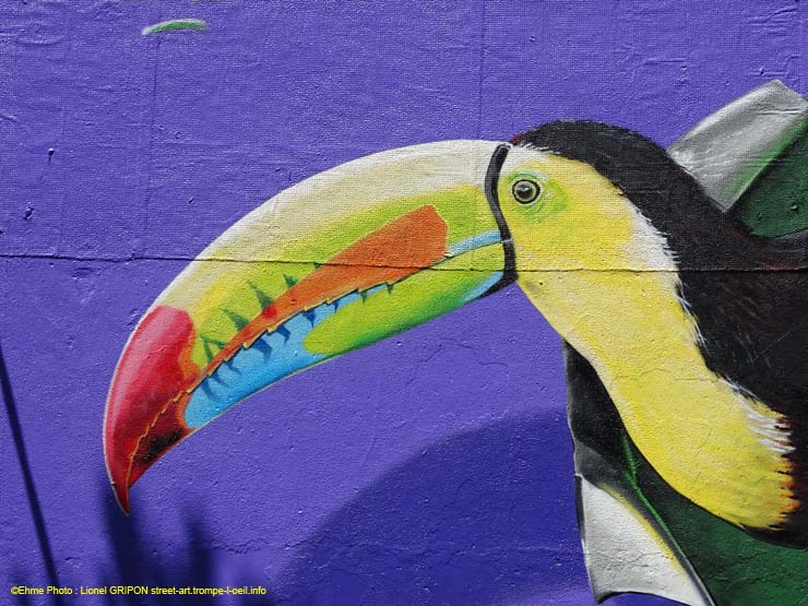 Le toucan-03